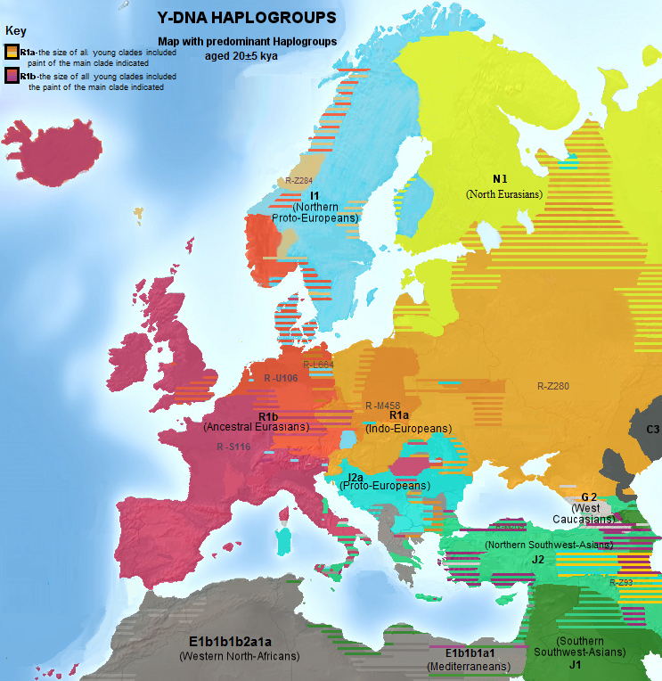 Detailed map of Europe depicting dominant Y-DNA haplogroups. image source: www.commons.wikimedia.org