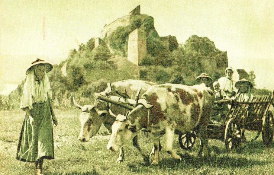 Dated photograph of a group of Transylvanian Saxons and an ox cart, with the citadel in the background.